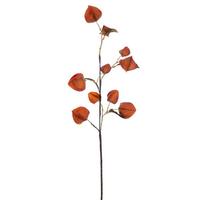 Vickerman 30.5" Artificial Orange Dried Lantern Spray (2 Pack)
