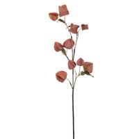 View 30.5" Artificial Light Orange Dried Lantern Spray (2 Pack)