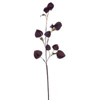 View 30.5" Artificial Dark Purple Dried Lantern Spray (2 Pack)