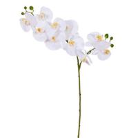 Vickerman 34" Artificial White Orchid (2 Pack)