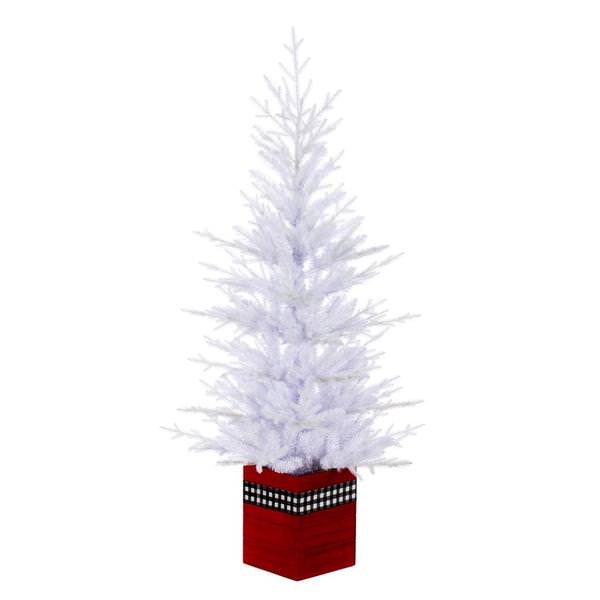 4' x 30" Potted White Fraser Fir 478 Tips