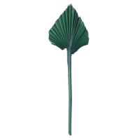 Vickerman 15.75-19.5" Emerald Palm Spear (12 Pack)