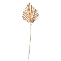 Vickerman 15.75-19.5" Metallic Gold Palm Spear (12 Pack)
