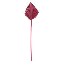 Vickerman 15.75-19.5" Deep Red Palm Spear (12 Pack)