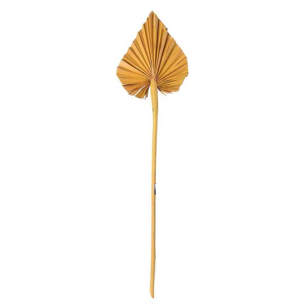 15.75-19.5" Aspen Gold Palm Spear (12 Pack)