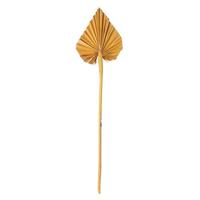 Vickerman 15.75-19.5" Aspen Gold Palm Spear (12 Pack)