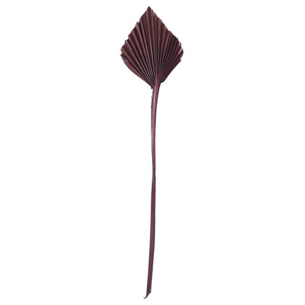 15.75-19.5" Chocolate Palm Spear (12 Pack)