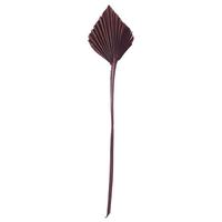 Vickerman 15.75-19.5" Chocolate Palm Spear (12 Pack)