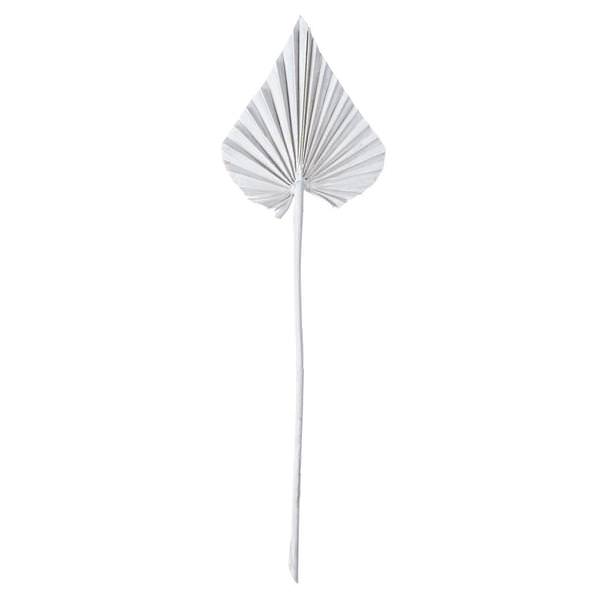 15.75-19.5" White Wash Palm Spear (12 Pack)