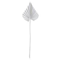 Vickerman 15.75-19.5" White Wash Palm Spear (12 Pack)