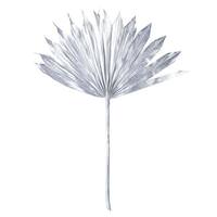 Vickerman 13.75-19.5" Metallic Silver Palm Spear (12 Pack)