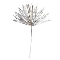 Vickerman 13.75-19.5" Metallic Champagne Palm Spear (12 Pack)