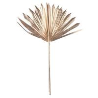 Vickerman 13.75-19.5" Metallic Gold Palm Spear (12 Pack)