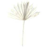 Vickerman 13.75-19.5" White Palm Spear (12 Pack)