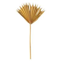 Vickerman 13.75-19.5" Aspen Gold Palm Spear (12 Pack)