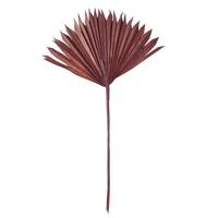 Vickerman 13.75-19.5" Chocolate Palm Spear (12 Pack)