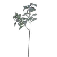 Vickerman 27" Artificial Frosted Green Lambs Ear Spray