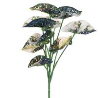 Vickerman 12.5" Green Variegated Leaves Spray (3 Pack)
