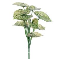 Vickerman 12.5" Light Green Variegated Leaves Spray (3 Pack)