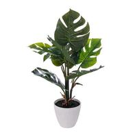 Vickerman 18" Artificial Green Monstera Foliage in White Pot