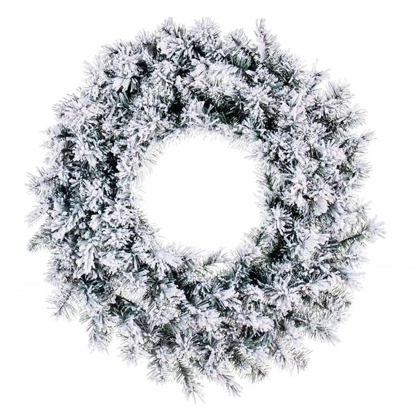 24" Frosted Glacier Pine Wreath 150 Tips Unlit Fir