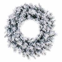 Vickerman 24" Frosted Glacier Pine Wreath 150 Tips Unlit Fir