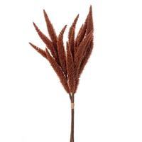 Vickerman 24" Mocha Foxtail Bundle (3 Pack)