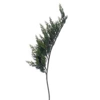 View 30" Artificial Green Cedar Fern Spray (2 Pack)