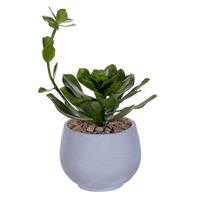 Vickerman 14.5" Artificial Light Green Echeveria in Cement Pot