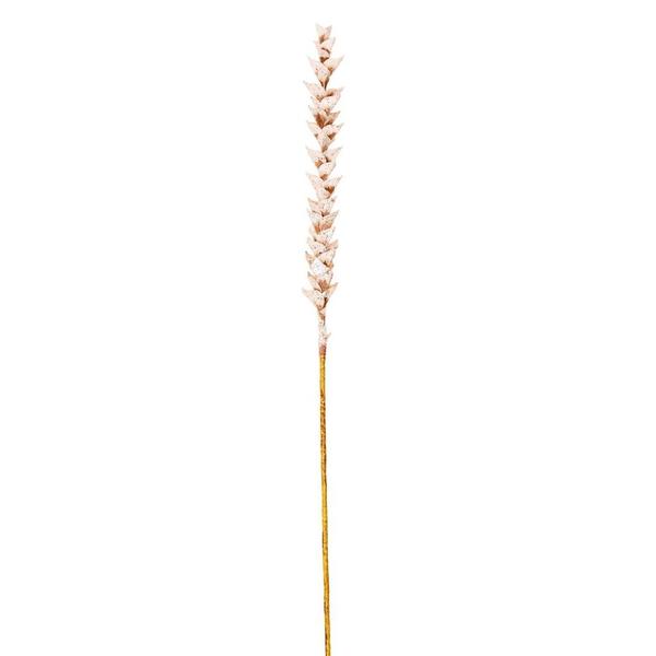 34" Light Brown Design Polynesian Stem