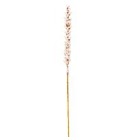 Vickerman 34" Light Brown Design Polynesian Stem