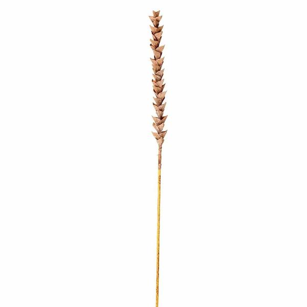34" Artificial Brown Design Polynesian Stem