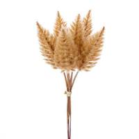 View 9" Artificial Light Cream Celosia Stem (6 Pack)