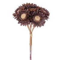 Vickerman 7" Dark Brown Daisy Strawflower (6 Pack)