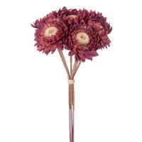 Vickerman 7" Raspberry Daisy Strawflower (6 Pack)