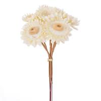 Vickerman 7" Cream Daisy Strawflower (6 Pack)