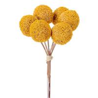 Vickerman 7" Dark Yellow Billy Button Stem (6 Pack)