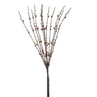 Vickerman 36" Brown Pussy Willow Bundle