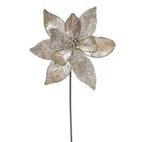 Vickerman 21.5" Champagne Poinsettia 11" Flower (6 Pack)
