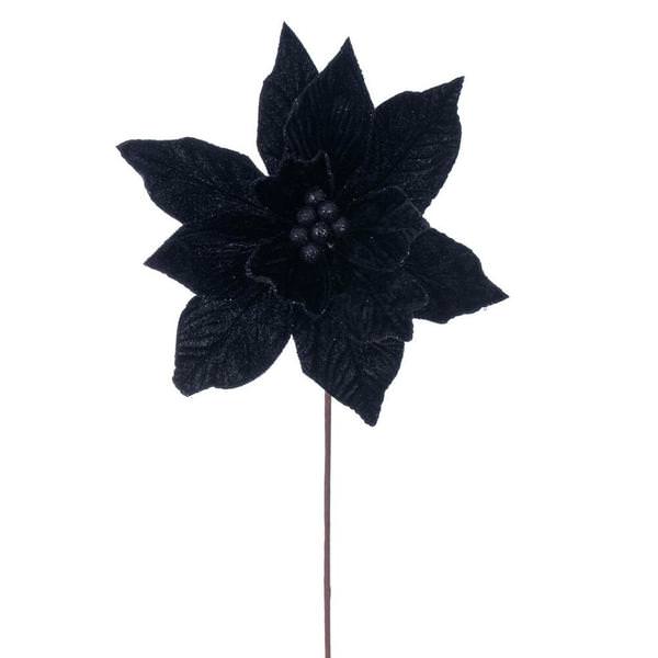 21.5" Black Poinsettia 12" Flower (6 Pack)
