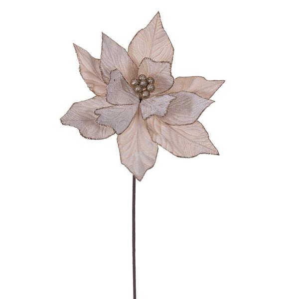 21.5" Champagne Poinsettia 12" Flower (6 Pack)