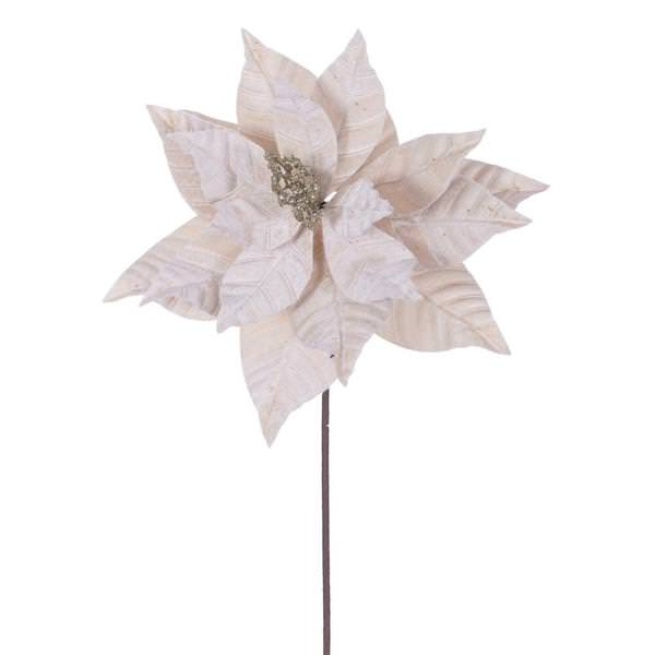 21.5" Champagne Poinsettia 12" Flower (6 Pack)