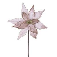 Vickerman 21.5" Champagne Poinsettia 12" Flower (6 Pack)
