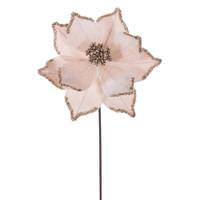 Vickerman 21.5" Champagne Poinsettia 10" Flower (6 Pack)
