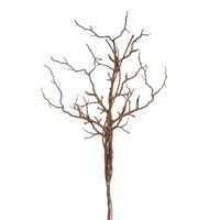 Vickerman 24" Artificial Orange Twig Branch (3 Pack)