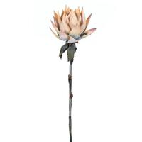 View 37" Artificial Cream Dried Protea Stem (2 Pack)