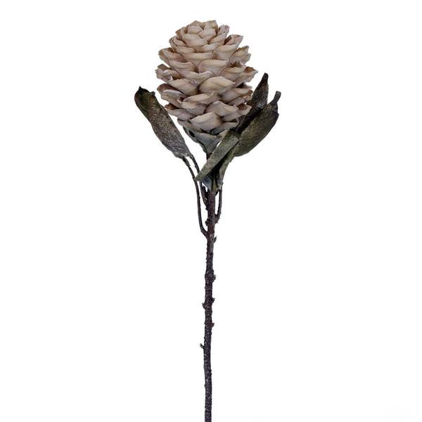 22" Artificial Cream Dried Ginger Stem (3 Pack)