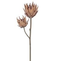 Vickerman 26" Artificial Light Orange Dried Protea Two Headed Stem (2 Pack)