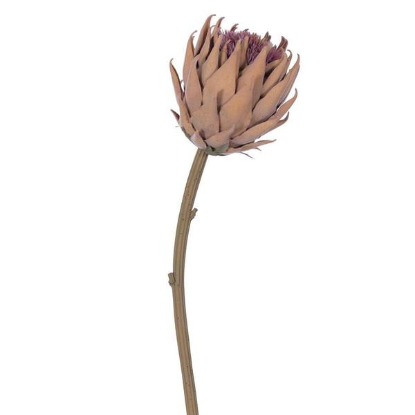 25" Artificial Light Orange Protea Stem (2 Pack)