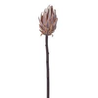Vickerman 22" Artificial Orange / Purple Protea Stem (2 Pack)